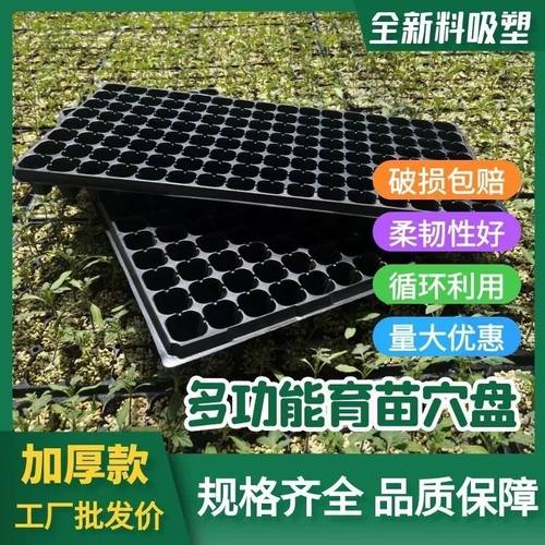 【整箱批发】加厚苗盘育苗盘穴盘辣椒玉米西瓜蔬菜托盘可重复使用