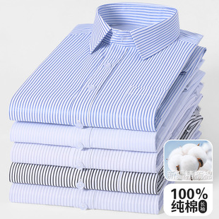 广东普宁衬衫纯棉男高级感蓝色条纹衬衫免烫高端商务休闲衬衣大码
