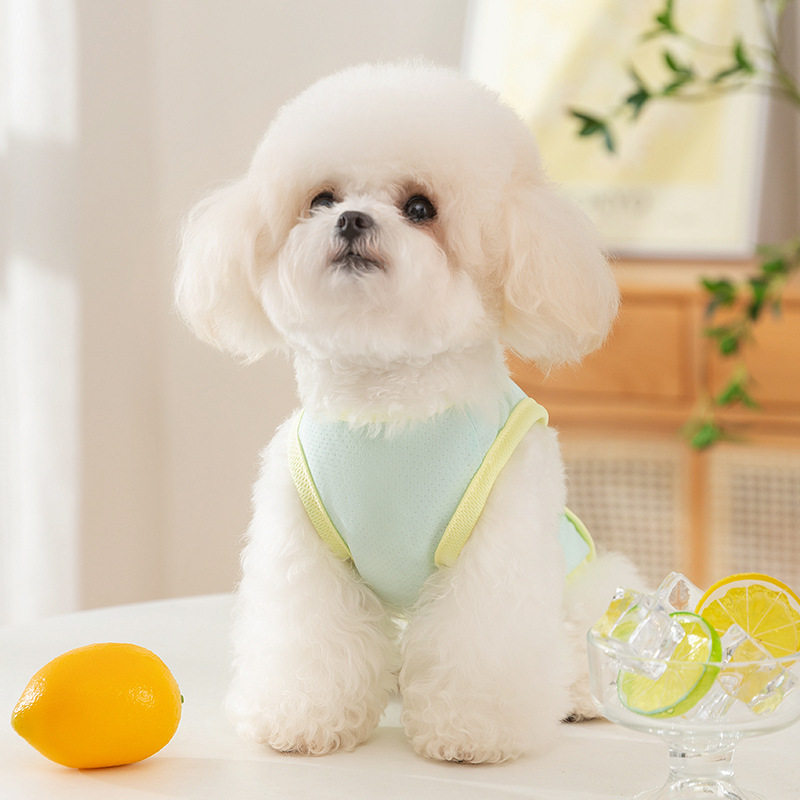 狗狗夏季衣服薄款渐变色