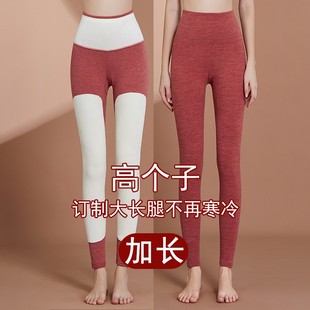 女春秋高腰大码 高个子加长裤 加厚打底裤 保暖裤 子 内穿薄款 德绒秋裤
