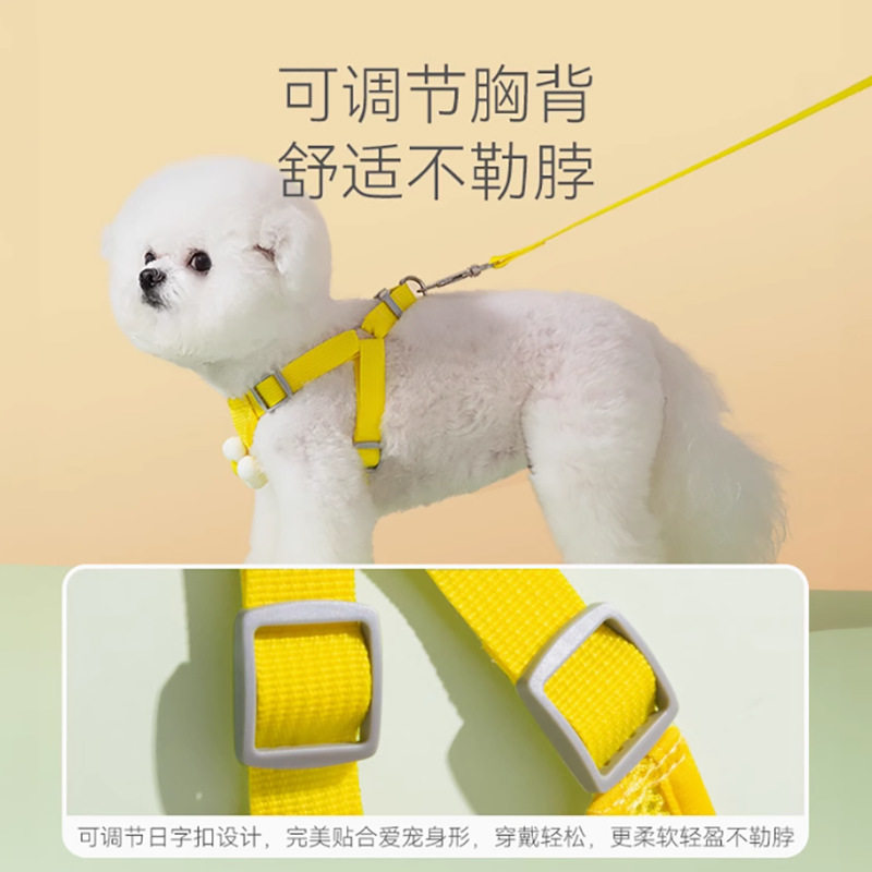 小狗狗牵引绳小型犬泰迪