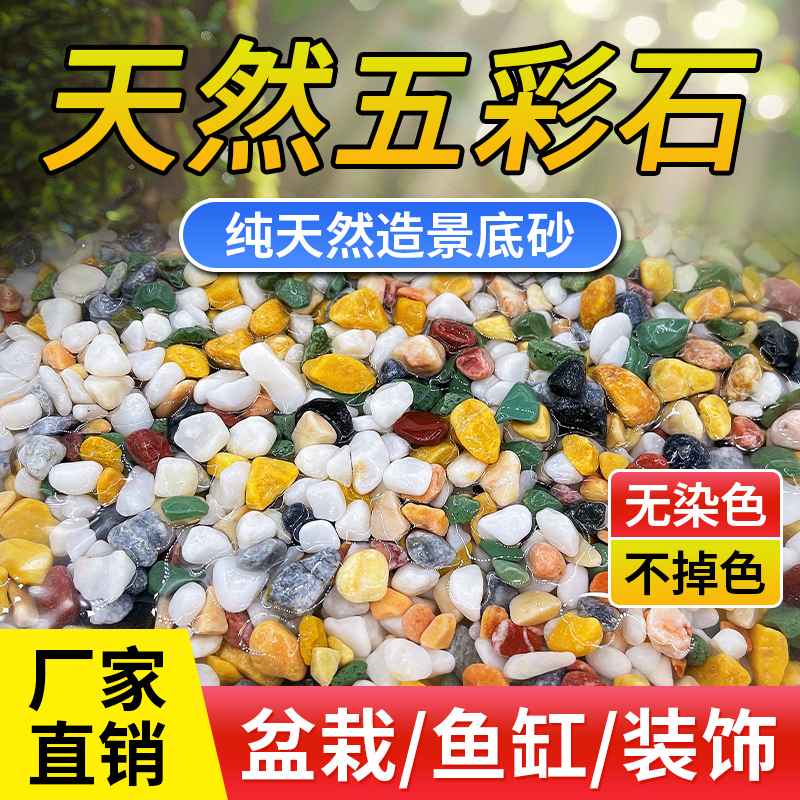 天然五彩花石白石子多肉铺面鱼缸造景花盆花载卉装饰庭院铺路装饰