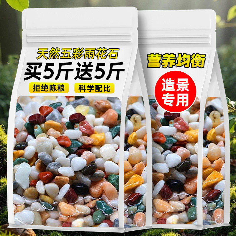 天然雨花石鹅卵石专用石子花盆多肉盆栽铺面石鱼缸造景底砂五彩石