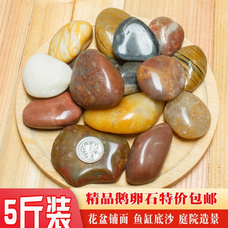 雨花石原石天然五彩鹅卵石花盆鱼缸铺路庭院装饰足底脚底按摩石头