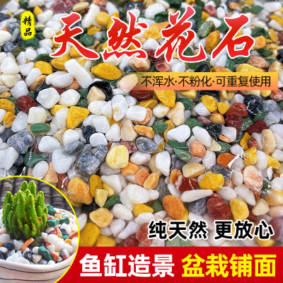 鱼缸造景底砂专用天然彩石多肉花盆铺面石五彩石雨花石七彩色石子