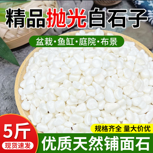 水培石子天然白色鹅卵石雨花石白色石头鱼缸花盆装饰多肉石子颗粒