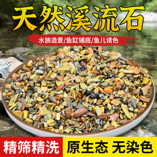 天然溪流沙原生鱼缸专用水族底砂造景装饰彩色石子颗粒河沙过滤材