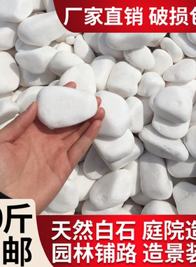 40斤大鹅卵石天然小白石子多肉铺面盆栽花盆庭院造景装饰白色石头