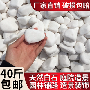 40斤大鹅卵石天然小白石子多肉铺面盆栽花盆庭院造景装饰白色石头