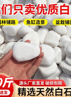 40斤白色石头大鹅卵石水洗石庭院铺地铺路花园盆栽鱼缸装饰白石子