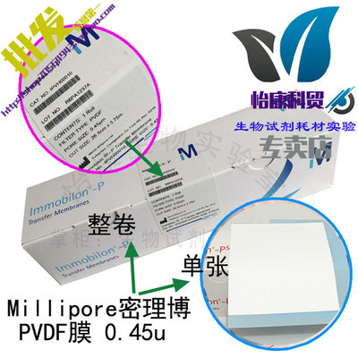 包邮Western blot 密理博millipore PVDF膜0.45u 转印膜IPVH00010