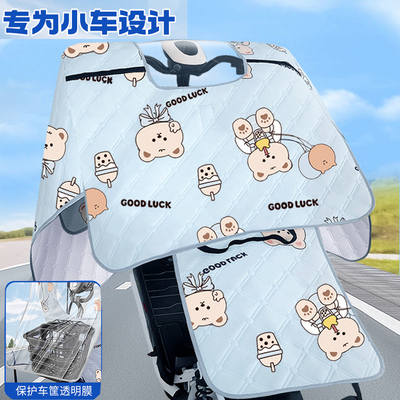 电动车挡风被夏季小型车蓝全包