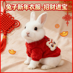 小兔子过年衣服带牵引绳过冬神器防寒棉背心溜侏儒兔新年穿的衣服