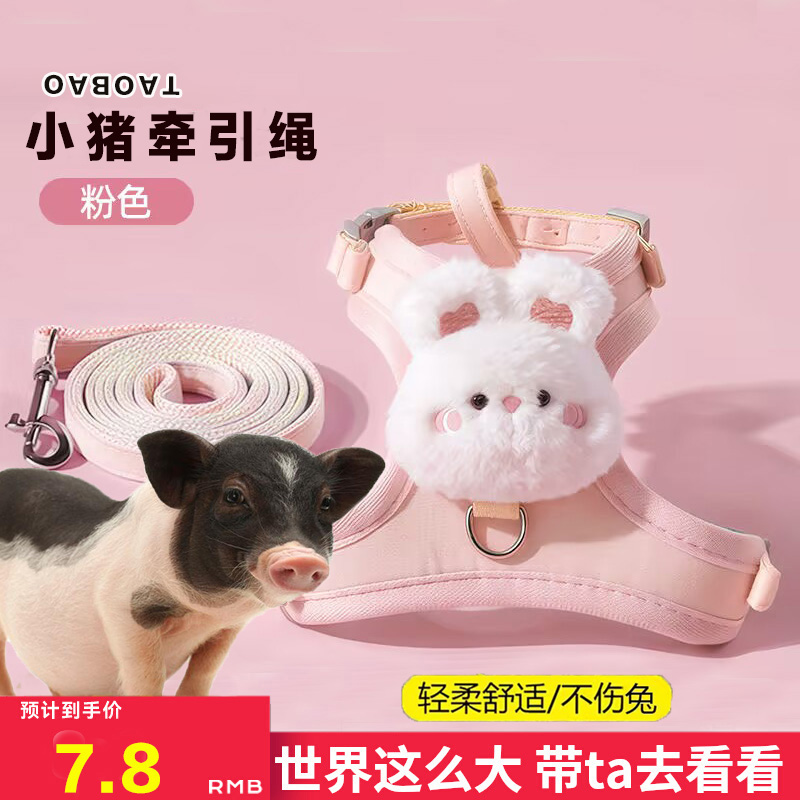 小香猪专用牵引绳溜宠物迷你