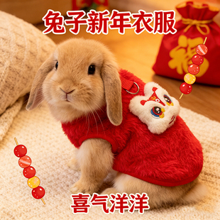 小兔子新年衣服带牵引绳过冬神器防寒棉背心溜侏儒兔过年穿的衣服