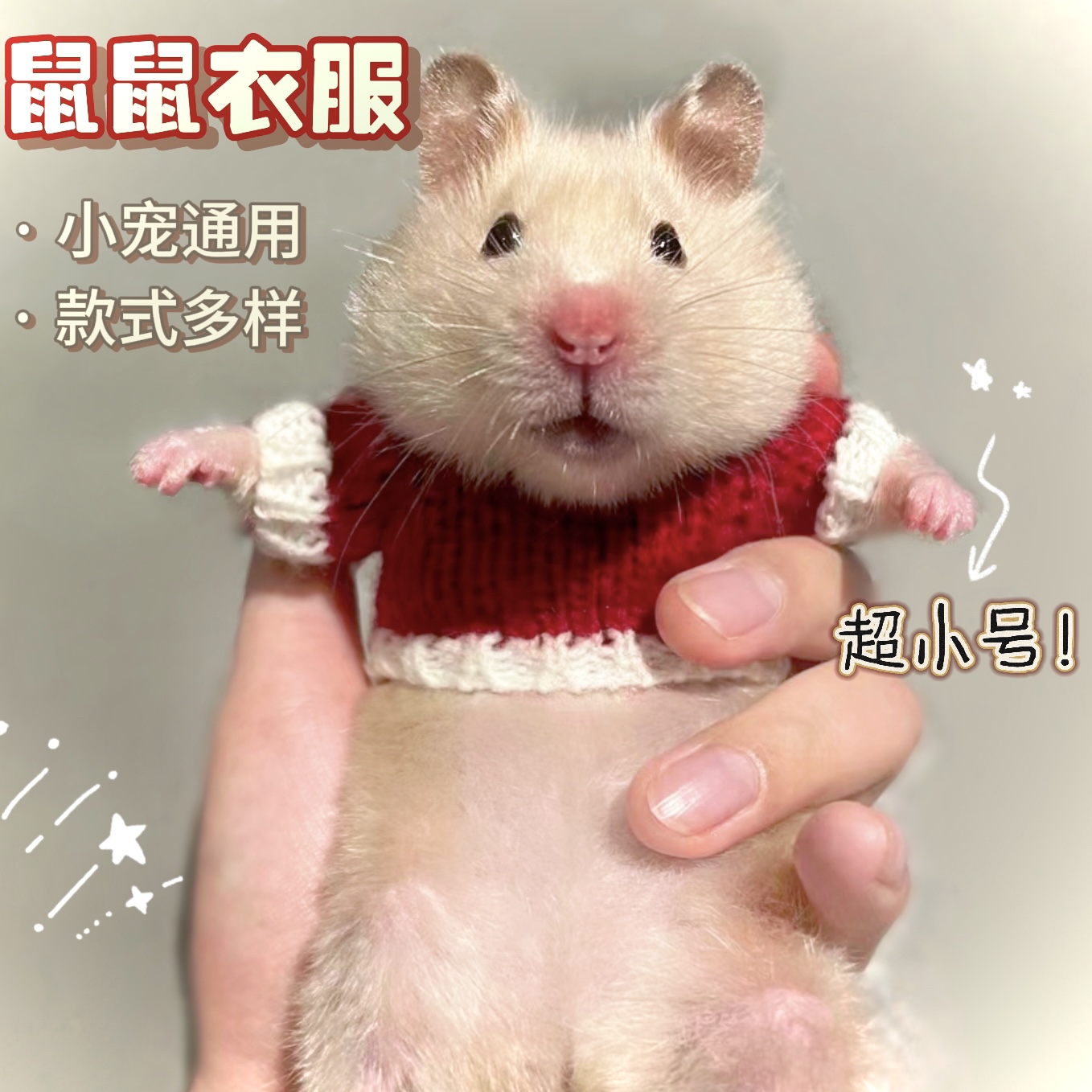 花枝鼠穿的衣服保暖超小号飞鼠仓松鼠荷兰猪金丝熊穿的棉衣服用品