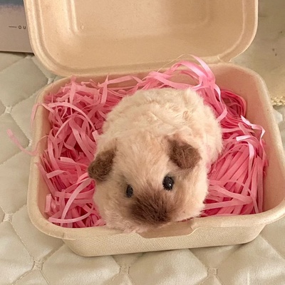 艾苏手工diy材料包扭扭棒荷兰猪