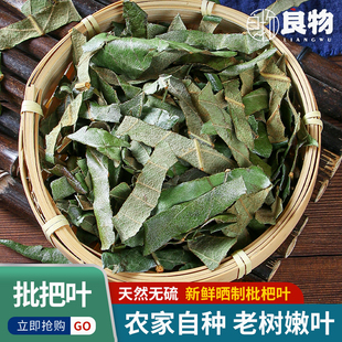 枇杷叶中药材正品枇杷叶新鲜干货野生无硫琵琶叶生枇杷树叶子干茶