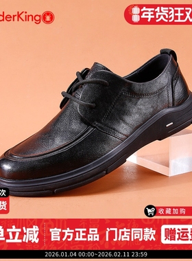 蜘蛛王皮鞋男2025秋季真皮商务休闲皮鞋软底全牛皮系带波洛克皮鞋