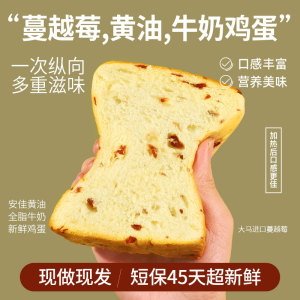 蔓越莓吐司面包营养早餐整箱零食代餐饱腹主食小吃手撕蛋糕点心