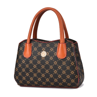 手提包2026新款时尚妈妈包手拎包简约小包买菜包送婆婆女士手拿包