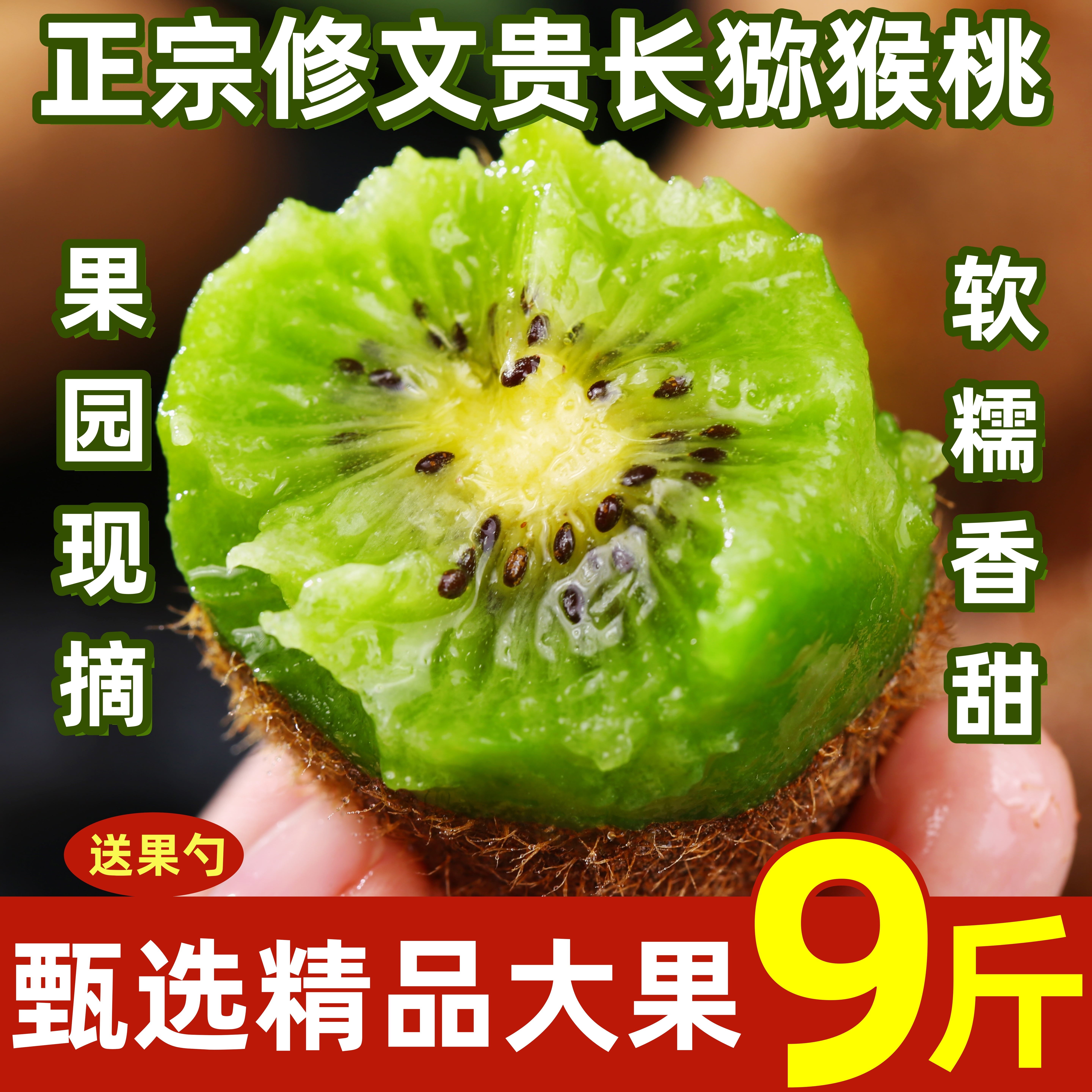 正宗贵州产地发货修文贵长猕猴桃图片