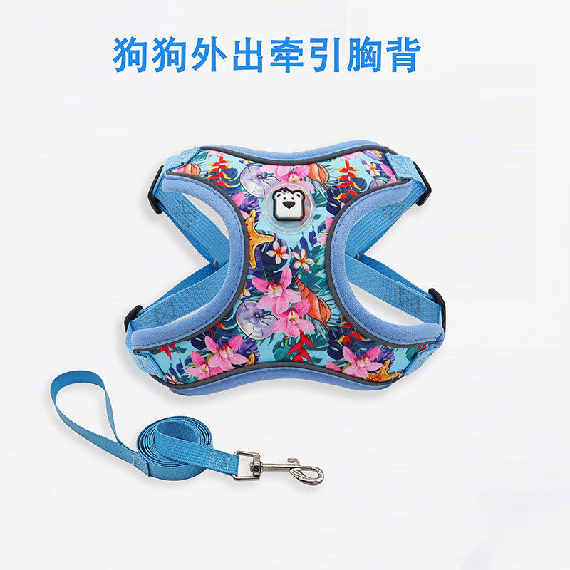 狗狗牵引绳狗链遛子中小