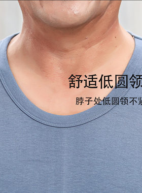 中老年男士100%纯棉低领