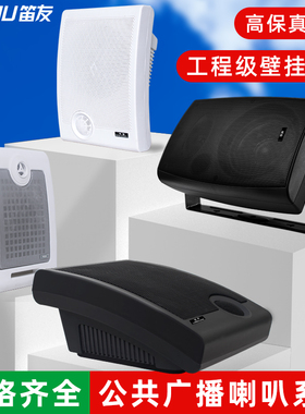 笛友壁挂音响音箱店铺定时喇叭监控定压有源会议公校园共广播系统