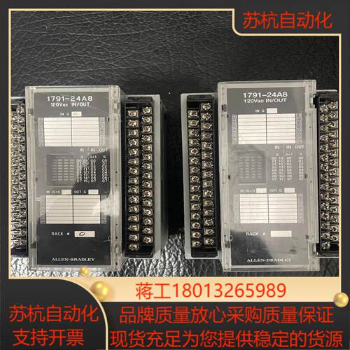 1791-24A8  罗克韦尔PLC议价出