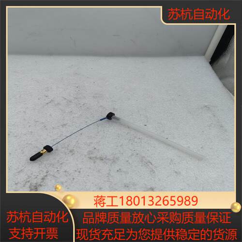 THERMO赛默飞戴安进样针 H23