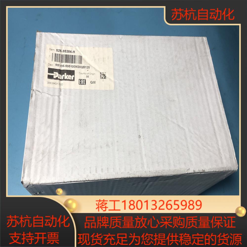 026-95384-H R6V06-5951009G0QB1