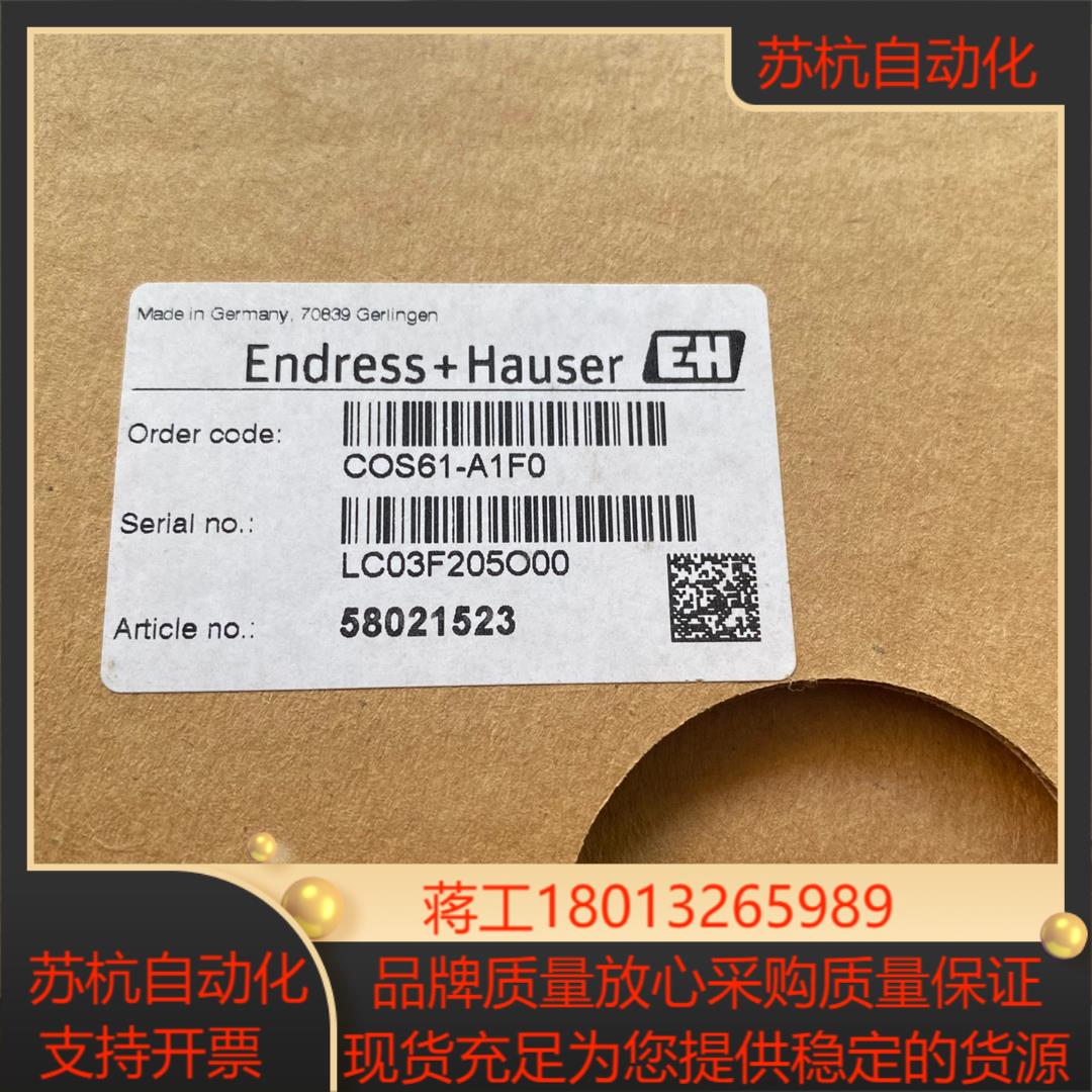 原装恩德斯豪斯EH溶解氧传感器探头COS61-A1F0