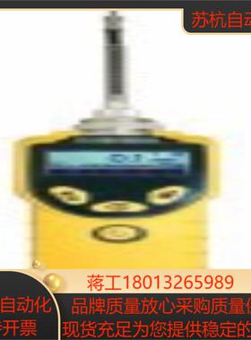RAE MiniRAE 3000 VOC检测仪PGM-7320 原装正品
