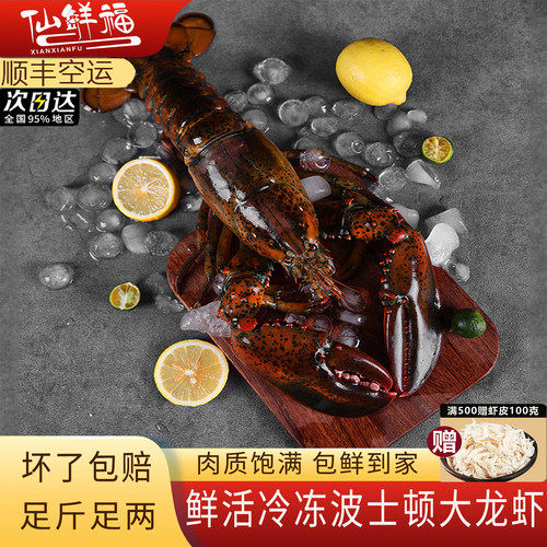 冰鲜活冻波士顿大龙虾顺丰空运