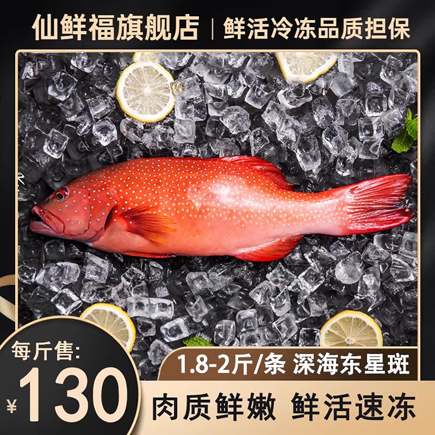 进口红东星斑鲜活冷冻野生东星斑石斑鱼海鲜水产新鲜燕尾冰鲜斑鱼