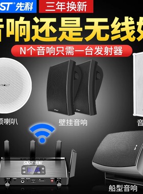 先科D1壁挂音响无线蓝牙挂墙式商用餐厅广播喇叭系统音箱店铺专用