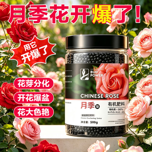 月季专用有机肥料家庭月季花盆栽