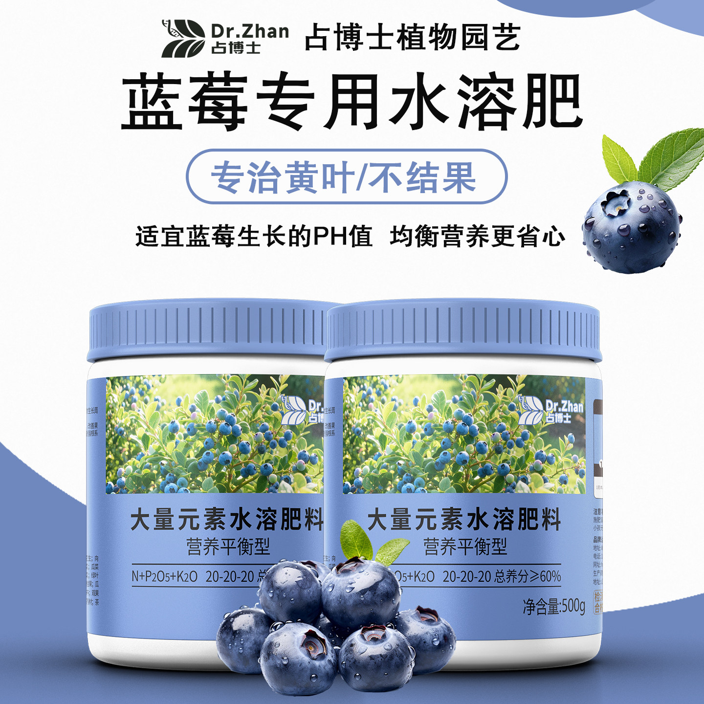 蓝莓专用水溶肥料家用型阳台盆栽