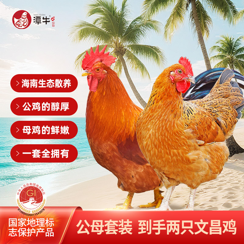 潭牛海南文昌鸡公母套装