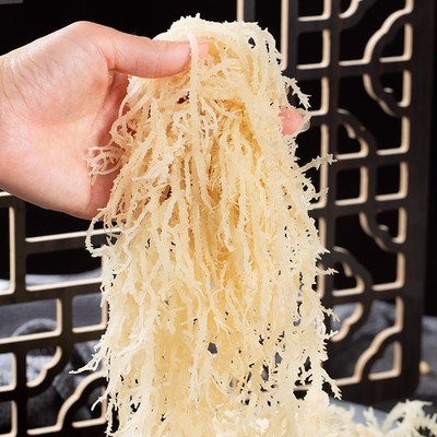 新鲜龙须菜凉拌菜500g石花菜干货海石花海草海藻鹿角菜海发菜