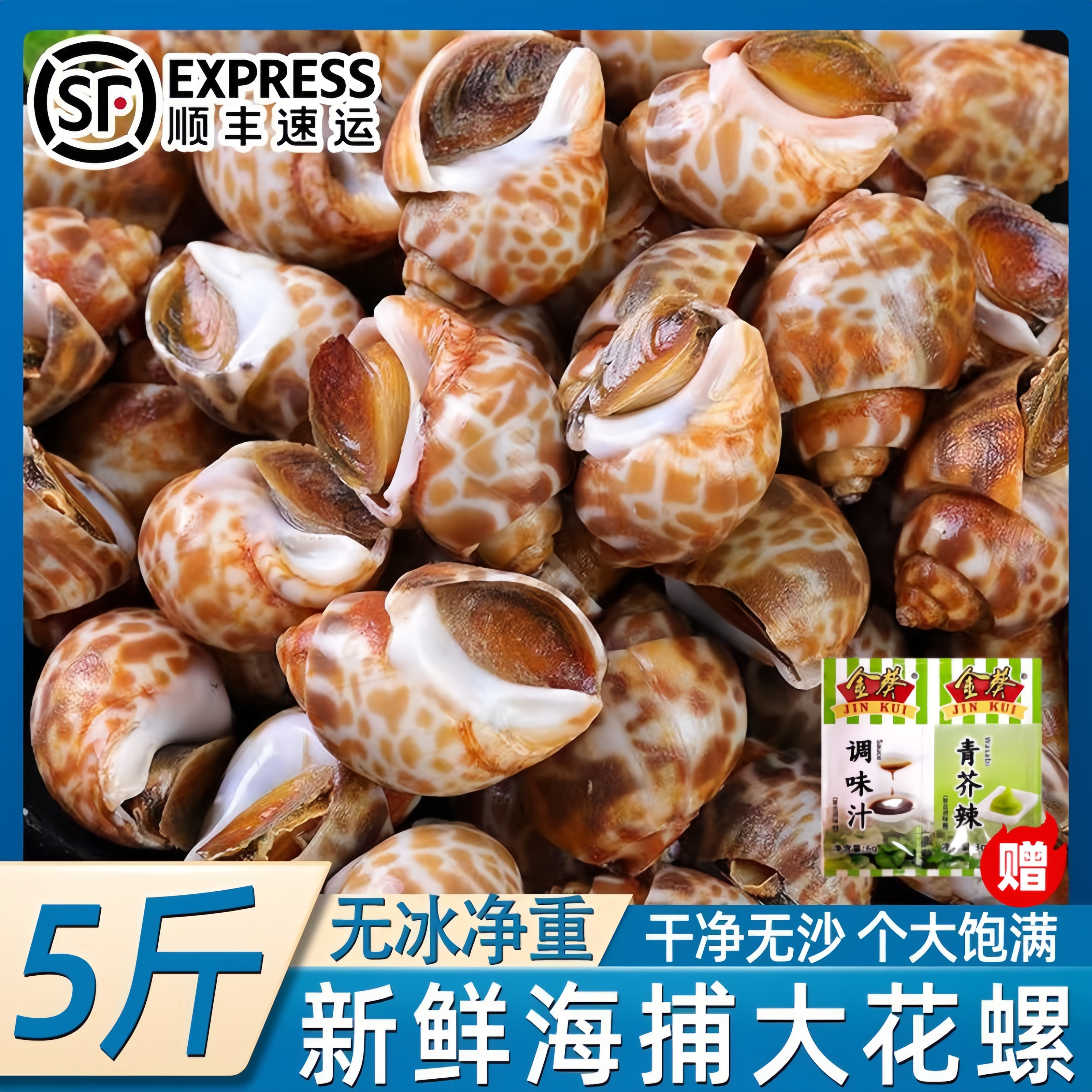 新鲜花螺冷冻海螺香螺活冻水产海鲜新鲜花螺小海螺批发顺丰包邮