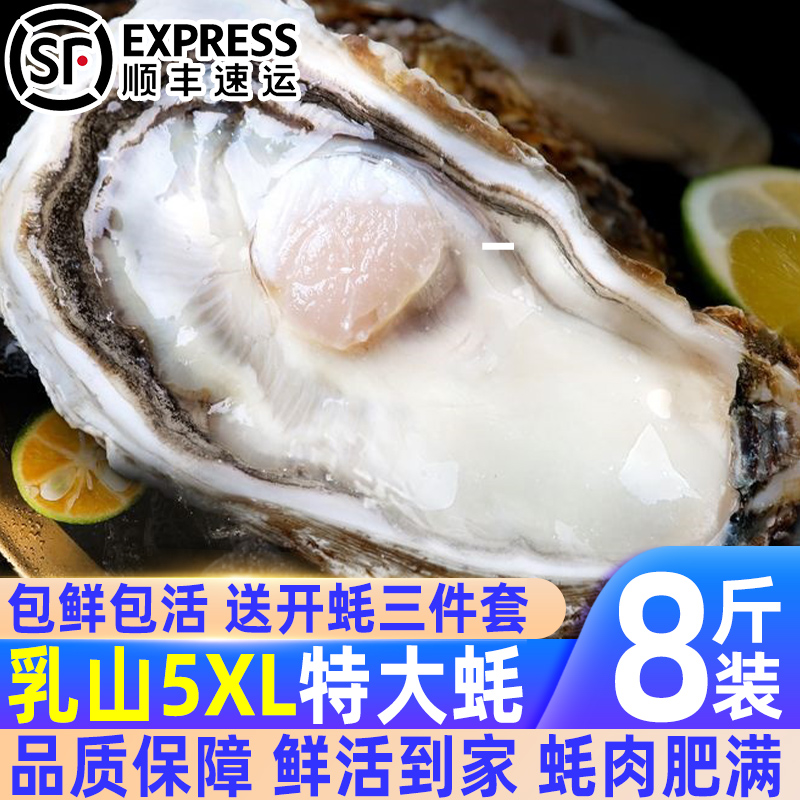 乳山生蚝正宗野生海蛎子