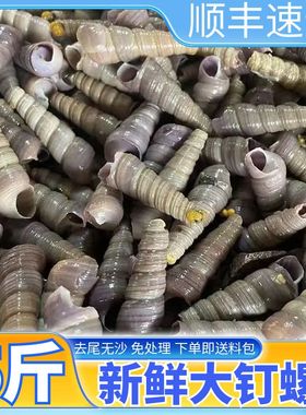 钉螺新鲜鲜活海鲜海螺商用顺丰送炒料去尾钉螺免处理烧烤钉螺鲜活