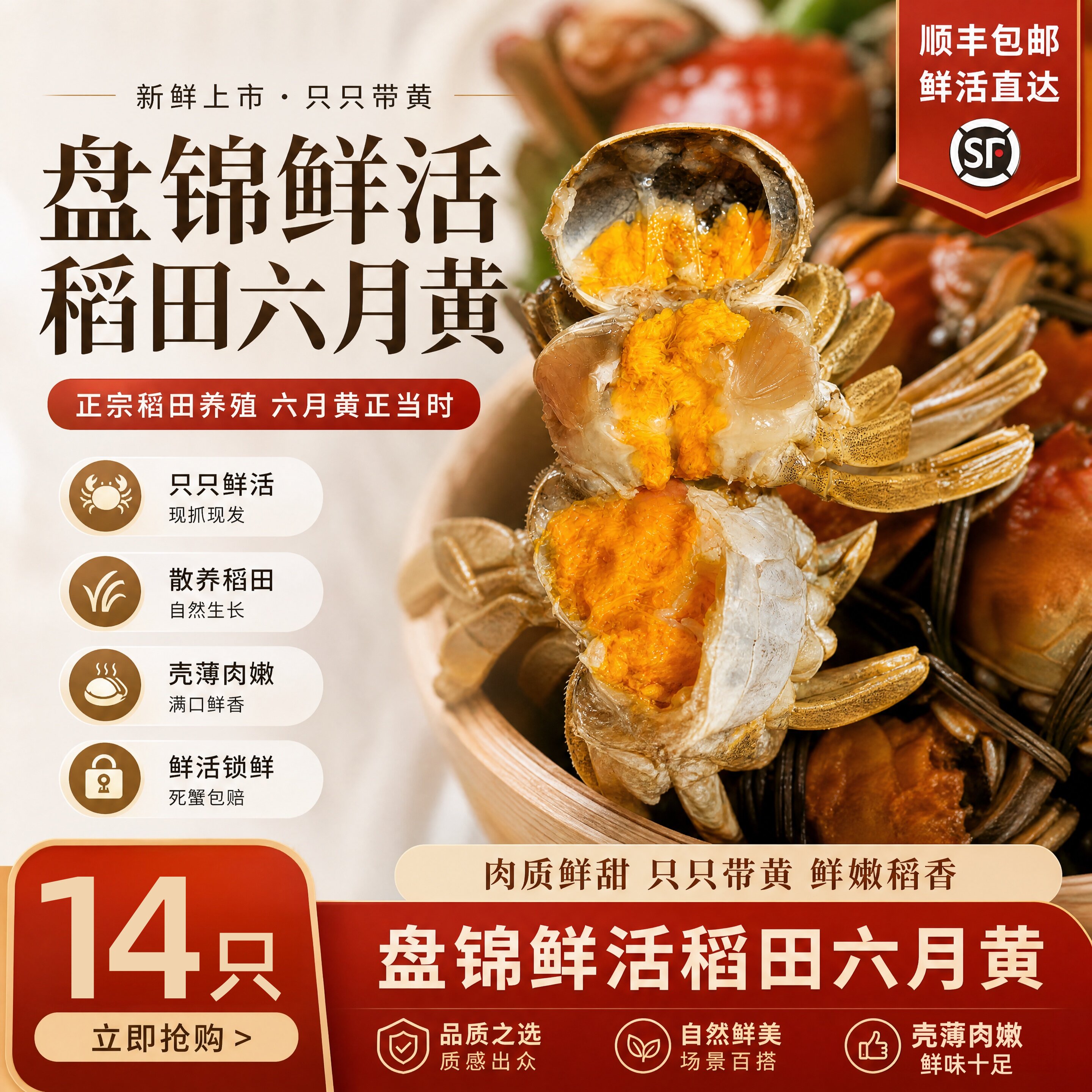 鲜活六月黄稻田蟹现抓现发正宗盘锦河蟹公蟹新鲜大闸蟹生鲜新货