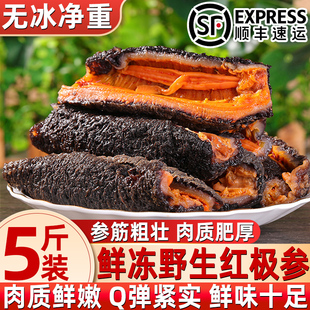 鲜冻北极红参新鲜海捕红极参正宗海参红极参鲜冻精选红参顺丰包邮