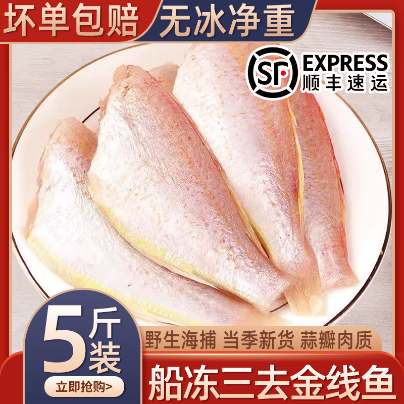 三去金线鱼新鲜冷冻海捕金丝鱼红杉海鲜金线鱼冷冻红衫海水鱼类