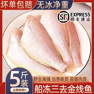 三去金线鱼新鲜冷冻海捕金丝鱼红杉海鲜金线鱼冷冻红衫海水鱼类