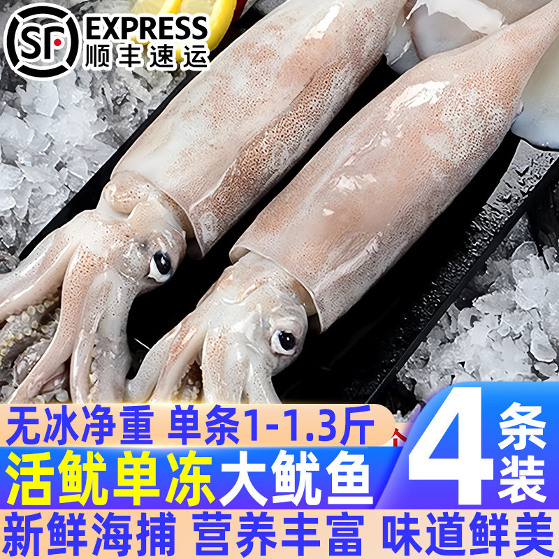 单冻大鱿鱼新鲜冻冷冻超大尤鱼整只乌贼烧烤食材铁板火锅刺身商用