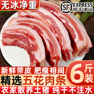 正宗猪五花肉新鲜现杀带皮五花肉猪肉家庭猪腹五花肉批发顺丰